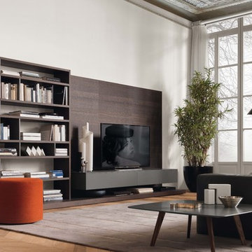 Contemporary livingroom with large bookcase entertainment center