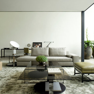 Contemporary Modern Living Room Design