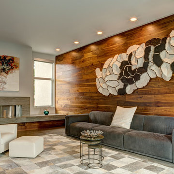 Contemporary Renovation