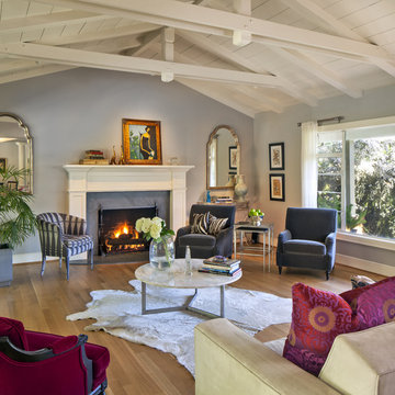 Contemporary / Transitional Living Room