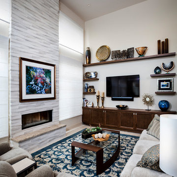 Contemporary Transitional - Living Room