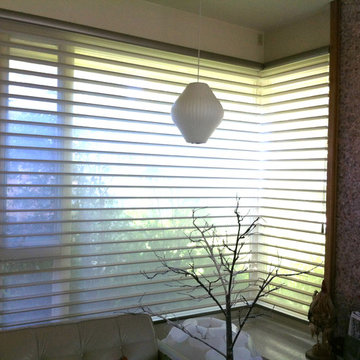 Contemporary_window_coverings