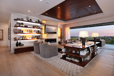 Living room - contemporary living room idea in Orange County