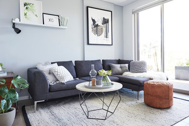 Kleines, Abgetrenntes Skandinavisches Wohnzimmer mit grauer Wandfarbe in Sydney