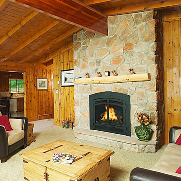 Cottage Home Fireplace and Basement
