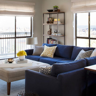 Inspiration for a mid-sized contemporary enclosed living room remodel in San Francisco with gray walls
