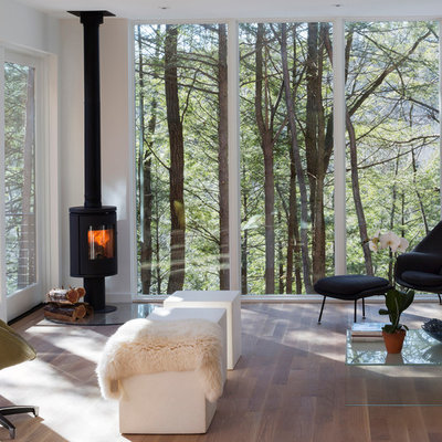 Living room - mid-sized contemporary dark wood floor living room idea in New York with white walls and a wood stove
