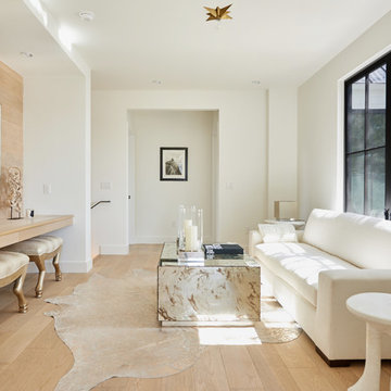 Transitional Living Room