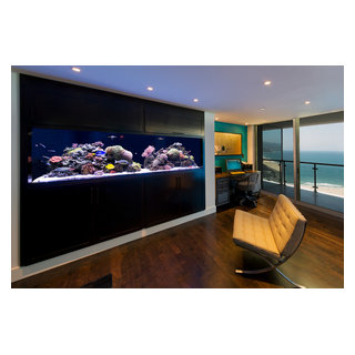 300 gallon custom aquarium