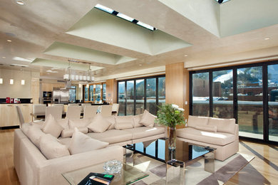 Inspiration for a modern living room in Denver.