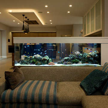 Couch Dream - 240 gallons Room Divider Aquarium