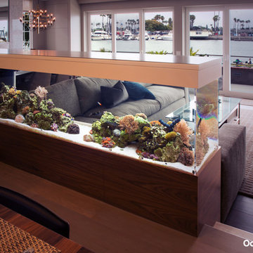 Ocean Room Divider - Photos & Ideas | Houzz