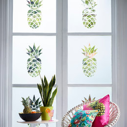 https://www.houzz.com/photos/cut-frost-window-film-design-fb021-tropical-living-room-buckinghamshire-phvw-vp~36296918