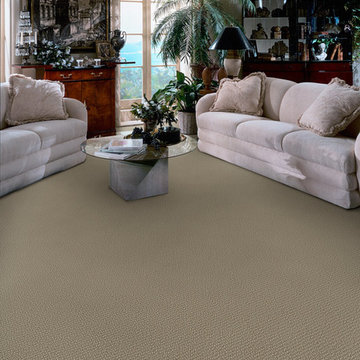 Dabbieri Collection
