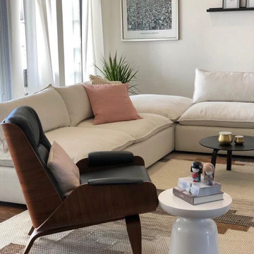 Dallas Living Room Redesign