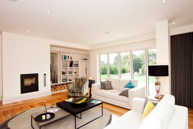 This is an example of a contemporary living room in Other with a wood burning stove.