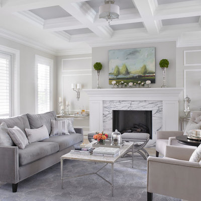 Living room - traditional formal living room idea in Miami with gray walls, a standard fireplace, a stone fireplace and no tv