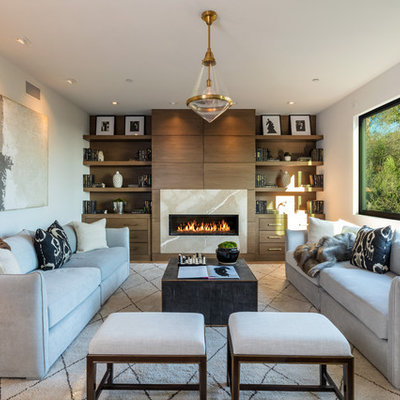 Inspiration for a contemporary medium tone wood floor and brown floor living room remodel in Los Angeles with white walls, a ribbon fireplace and a stone fireplace