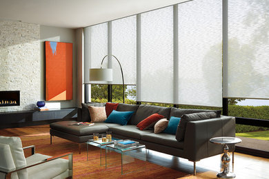 Fernseherloses Modernes Wohnzimmer mit grauer Wandfarbe, braunem Holzboden, Kamin und Kaminumrandung aus Stein in San Francisco
