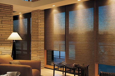 Example of a minimalist living room design in Dallas