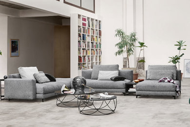 Inspiration for a contemporary living room in Other.