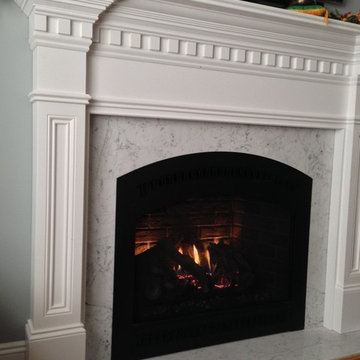 Direct Vent Gas Fireplaces - Traditional