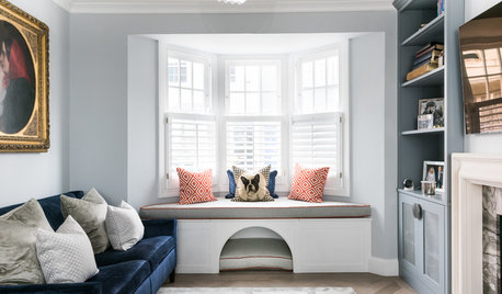 Expert Ways to Integrate Your Dog’s Bed into Your Home