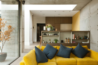 Foto di un soggiorno design di medie dimensioni e chiuso con libreria, pareti grigie, parquet chiaro, cornice del camino in intonaco e TV a parete