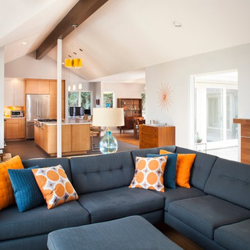 Druid Hills Mid Century Modern