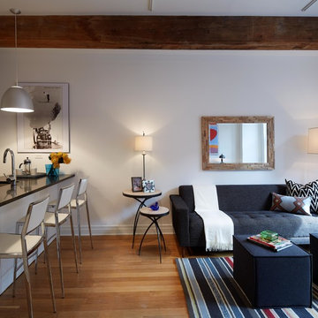 DUMBO Modern Interior Design - 1 Bedroom Apartment