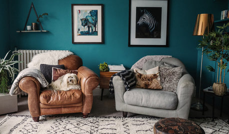 11 Dogs Who Complement Their Interiors Beautifully