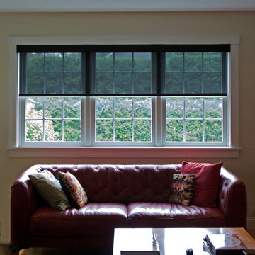 EcoSmart Solar Shades