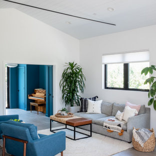 Immagine di un soggiorno minimalista di medie dimensioni e aperto con sala formale, pareti bianche, pavimento in gres porcellanato, nessun camino, pavimento grigio, soffitto in perlinato e soffitto a volta