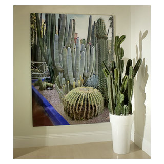 Jardin de Cactus Green Cactus by Emilio Robba main image 0