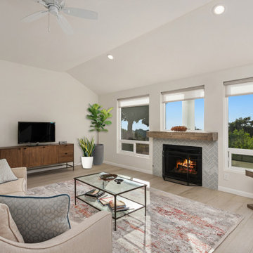 Encinitas Minimalist Living Room