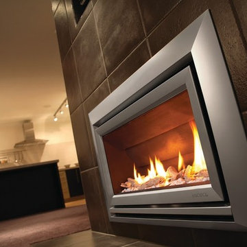 ESCEA Indoor Gas Metalic Silver Fireplace - Velo Front