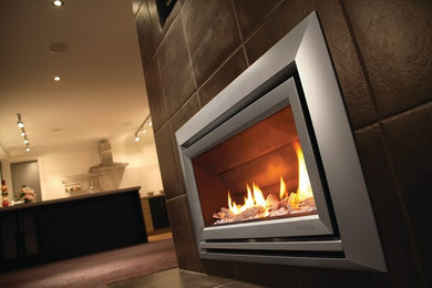 ESCEA Indoor Gas Metalic Silver Fireplace - Velo Front