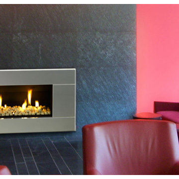 ESCEA Modern Gas Indoor Fireplace Stainless Steel Ferro Fascia
