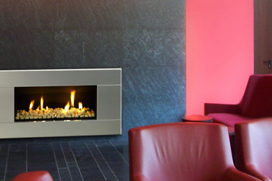 ESCEA Modern Gas Indoor Fireplace Stainless Steel Ferro Fascia