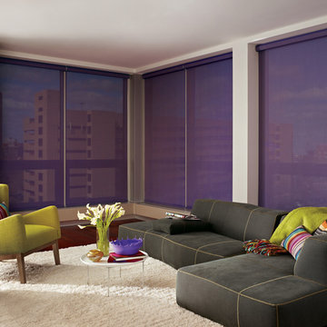 Examples of our Hunter Douglas window coverings
