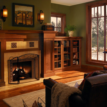 Family Room Bookcase
