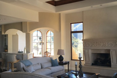 Transitional living room photo in Phoenix