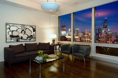 Living room - contemporary living room idea in Chicago