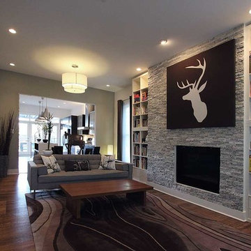 Fireplace Remodel
