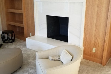 Transitional carpeted and beige floor living room photo in New York with a standard fireplace, a stone fireplace and no tv
