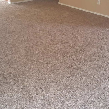 Fixed Up a Nice Rental In Tempe With New Solution-Dyed Carpet
