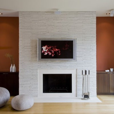 Living room - contemporary living room idea in DC Metro with a standard fireplace and a wall-mounted tv