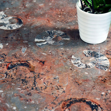 Fossil Marble Tables Home