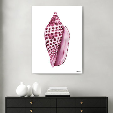 'Freckled Shell II' Wrapped Canvas Wall Art