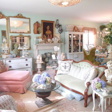 Frenchy & Bright Living Room